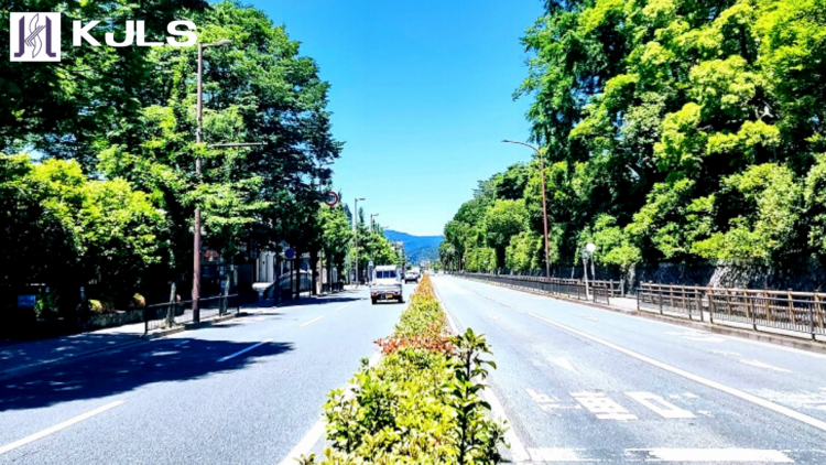 夏近し