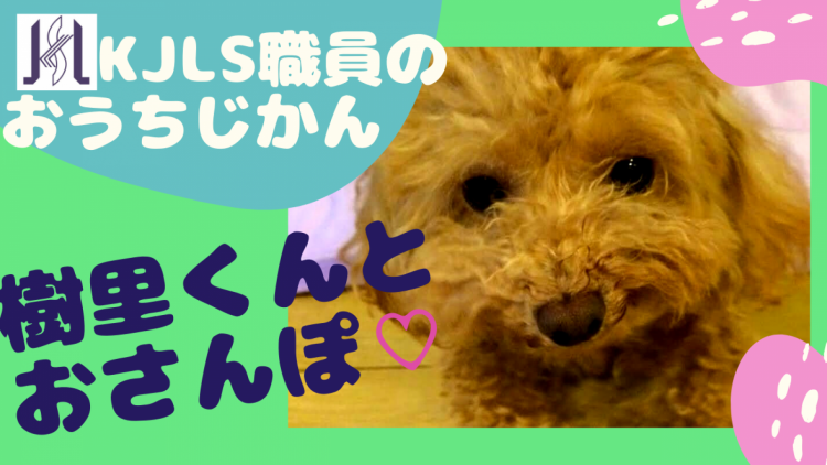 KJLS職員 おうちでの休日２